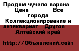 Продам чучело варана. › Цена ­ 15 000 - Все города Коллекционирование и антиквариат » Другое   . Алтайский край